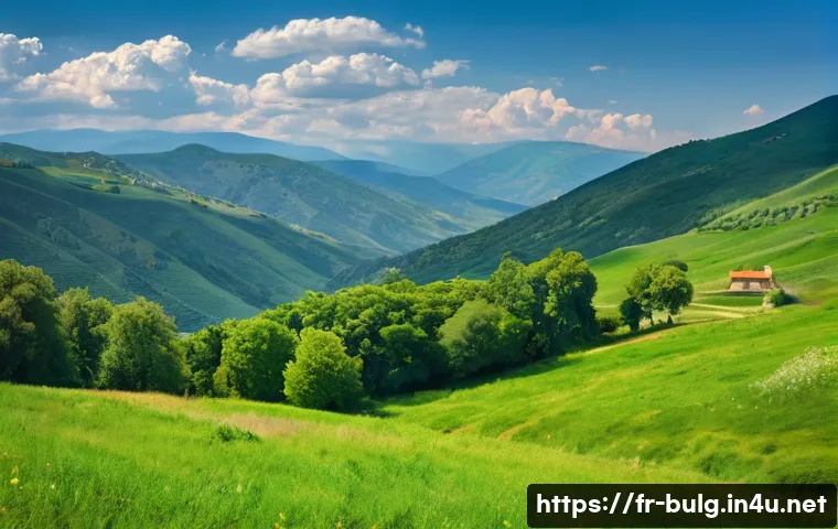 불가리아 여행 시 사기 주의 관련 이미지 2